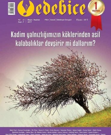 Edebice Dergisi 7. Sayı